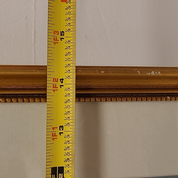 J. Gould and HC Richter Hummingbirds Aglaeactics Pamela Litho - Picture 15 of 16